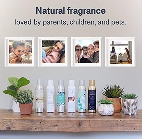 AP Fragrance Belfair Oaks Room Spray Air Freshener Sandalwood - Concentrated Odor Neutralizer - 3 Pack, 6 oz Each