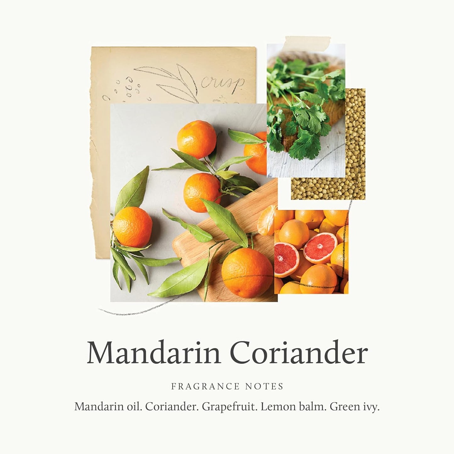 Thymes Mandarin Coriander Reed Diffuser Oil - Room Fragrance Oil - Flameless Home Fragrance7.75 Fl Oz